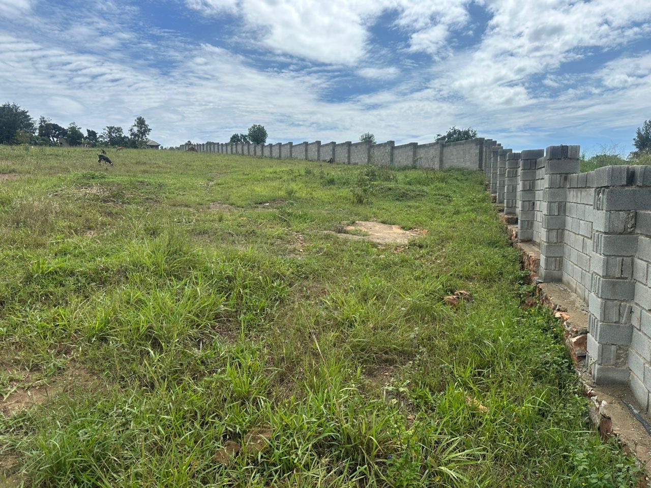 Flexible Payment Plans: Making Land Ownership Easier